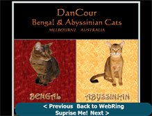 Tablet Screenshot of dancourbengals.bigpondhosting.com