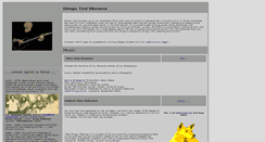 Desktop Screenshot of dingo.bigpondhosting.com